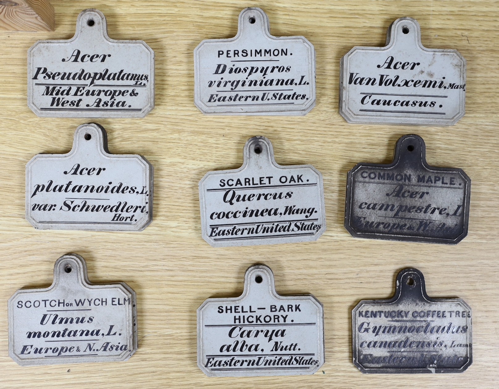 A collection of seventeen George Maw and Co. Stoneware botanical markers marked ‘R.G KEW MAW & CO BENTHILL BROSELEY’